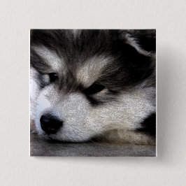 Alaskischer Malamute Button