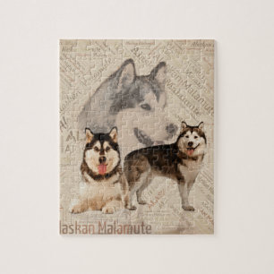 Alaskischer Malamute-Collage auf Wort-Muster