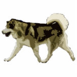 Alaskischer Malamute Freistehende Fotoskulptur<br><div class="desc">Fotoskulptur des alaskischen Malamute</div>