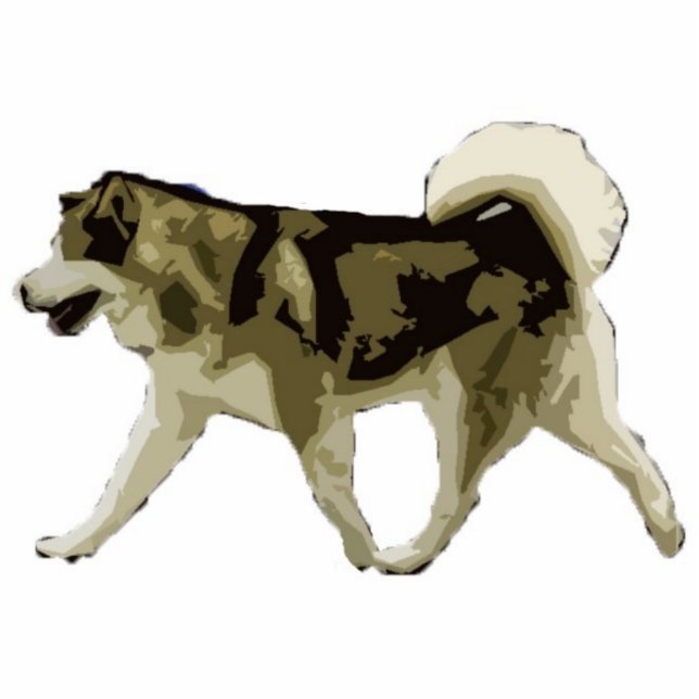Alaskischer Malamute Freistehende Fotoskulptur (Vorne)