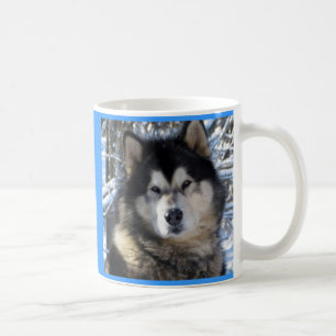 Alaskischer Malamute Kaffeetasse
