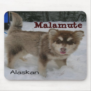 Alaskischer Malamute-Mausunterlage Mousepad