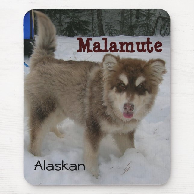 Alaskischer Malamute-Mausunterlage Mousepad (Vorne)