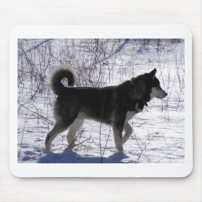 Alaskischer Malamute Mousepad (Vorne)