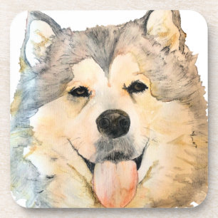 Alaskischer Malamute-Porträt Untersetzer