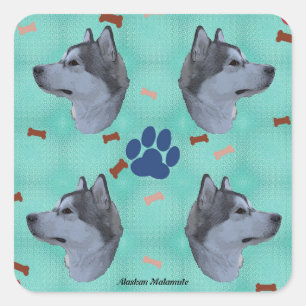 Alaskischer Malamute Quadratischer Aufkleber