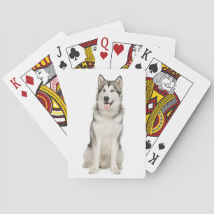 Alaskischer Malamute-Spielkarten Spielkarten