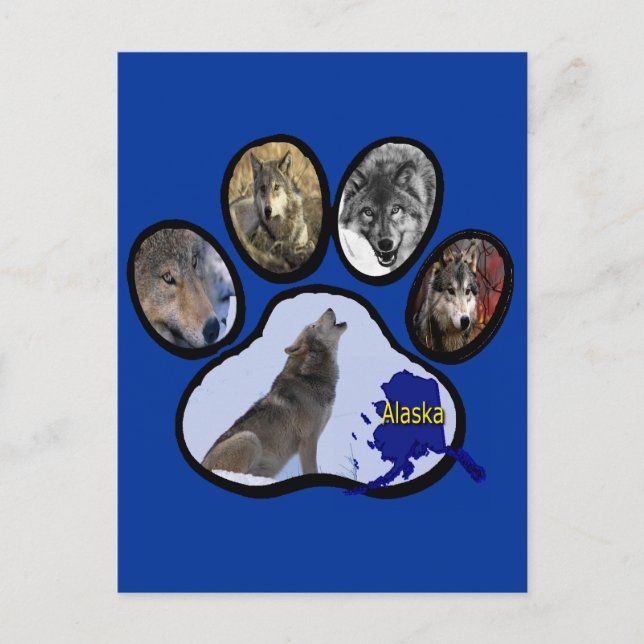 Alaskischer Wolf-Tatzen-Druck Postkarte (Vorderseite)