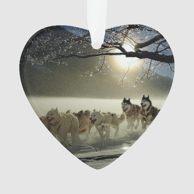 Alaskisches heiseres Hundeschlitten-Rennen Ornament (Vorderseite)