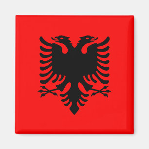 Albanien Magnet