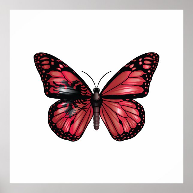 Albanien Monarque Butterfly Flag Poster (Vorne)