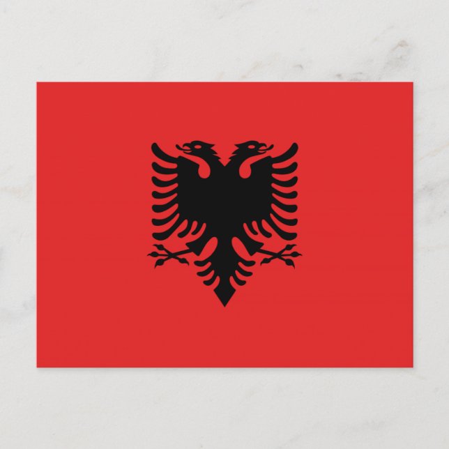 Albanische Flagge mit Zweikopfadler Postkarte (Vorderseite)