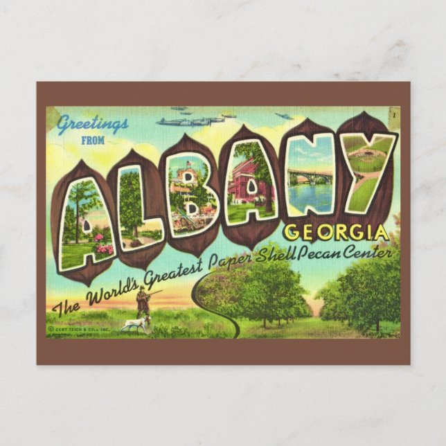 Albany Georgia Vintage Postkarte (Vorderseite)