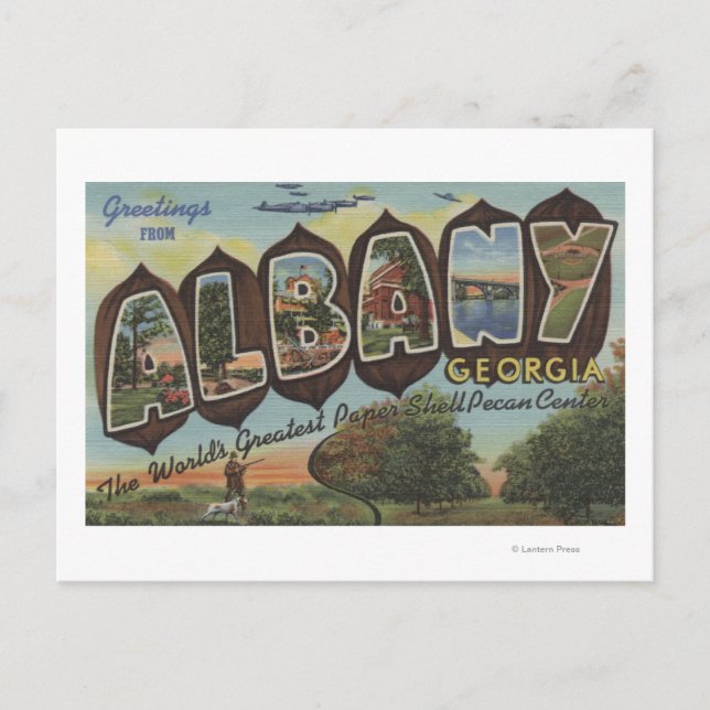 Albany, Georgien - Große Briefmarkenszenen Postkarte (Vorderseite)
