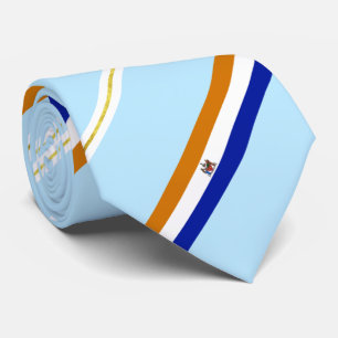 Albany (New York) Stadtflagge Neck Tie Krawatte