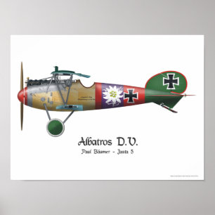 Albatros D.V. ww1 deutsches Kämpfer-Flugzeug Poster
