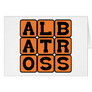 Albatros, Grand Oiseau De Mer