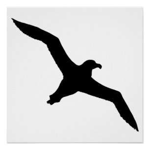 Albatros Poster