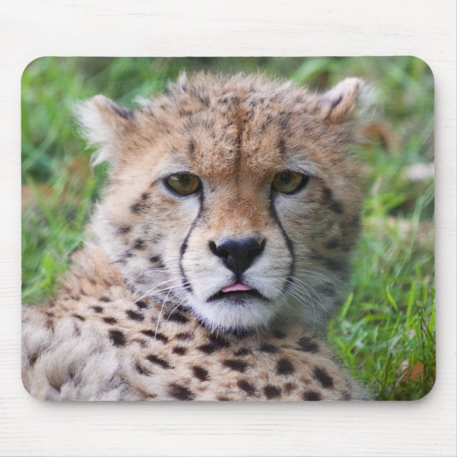 Albern Cheetah Cub Mousepad (Vorne)