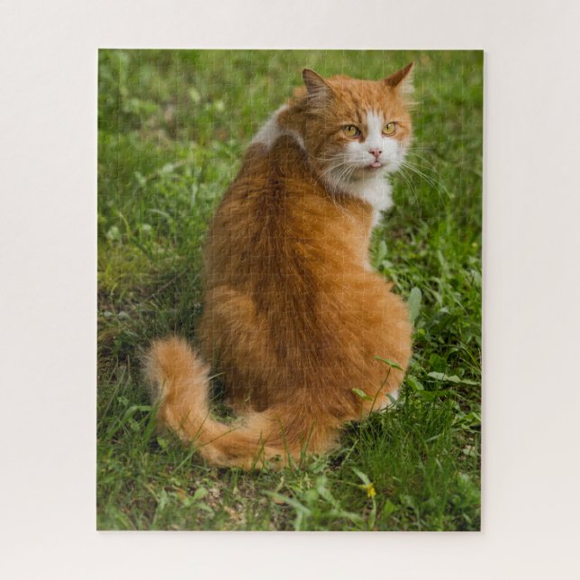 Albern Fluffy Orange Langerhaarige Tablette (Vertikal)