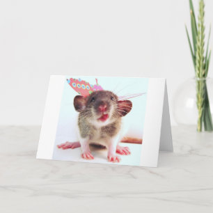 Albern Flutterby Rat Karte