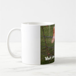 Albern Gänse 11oz Kaffeemaschine Tasse, lustige Ti Kaffeetasse