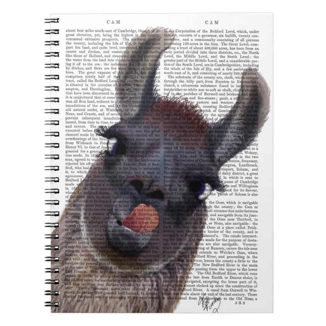 Albern Llama Notizblock (Vorderseite)
