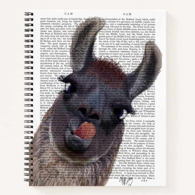 Albern Llama Notizbuch (Vorderseite)