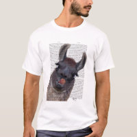 Albern Llama