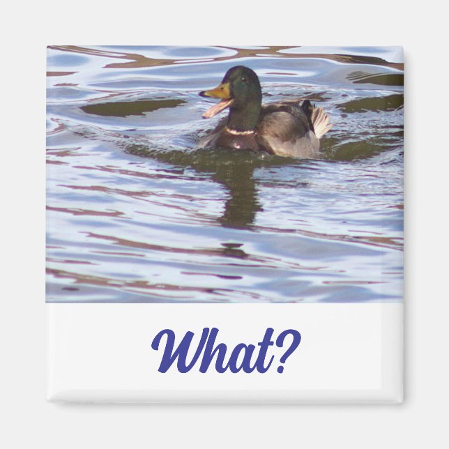 Albern Mallard Duck Magnet (Vorne)