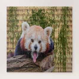 Albern Red Panda