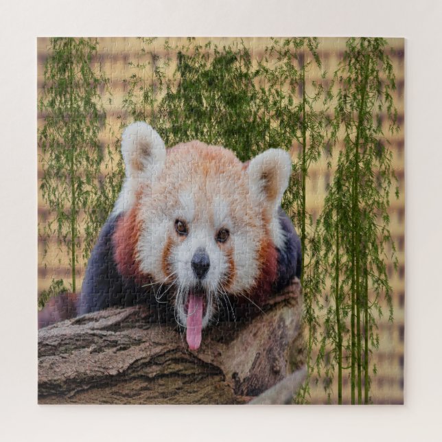 Albern Red Panda (Vertikal)