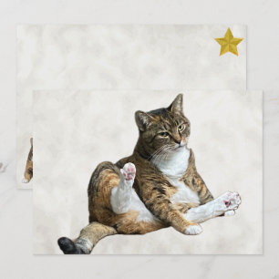 Alberne Cat-Pose - Annie's Flachgrüßkarte