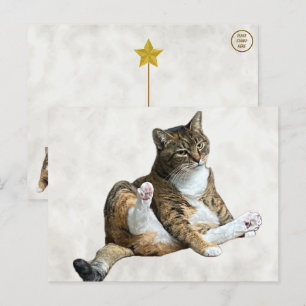 Alberne Cat-Pose - Annie's Postcard Postkarte