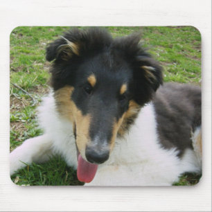 Alberne Collie Mousepad