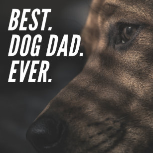 Download Alberne sprueche Free Alberne Sprueche