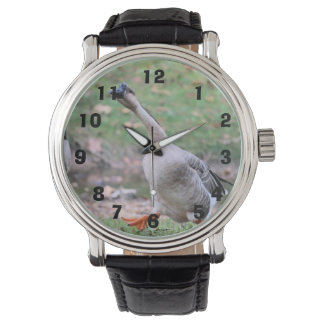 Alberne Gans Armbanduhr