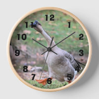 Alberne Gans