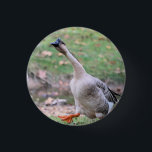 Alberne Gänsesilber Button<br><div class="desc">Bird</div>