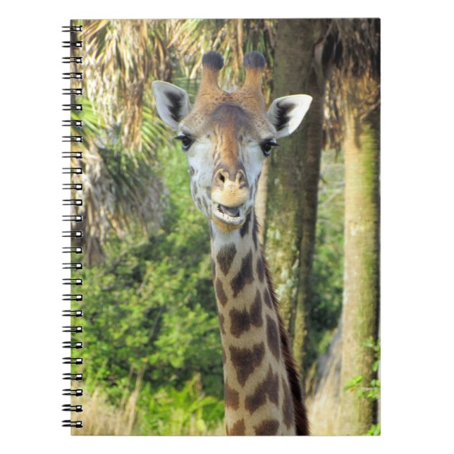 Alberne Giraffe - 6.5 x 8.75 Notebook Notizblock (Vorderseite)