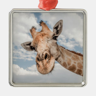 Alberne Giraffe Ornament Aus Metall