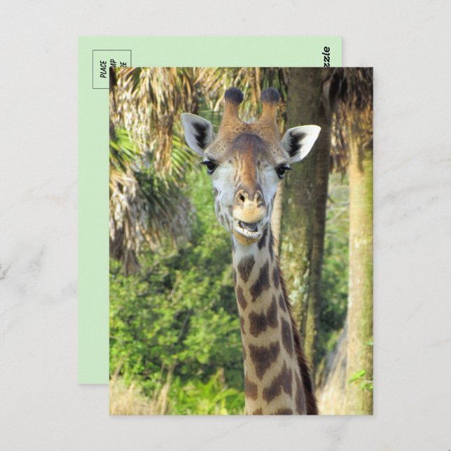 Alberne Giraffe Postkarte (Vorne/Hinten)