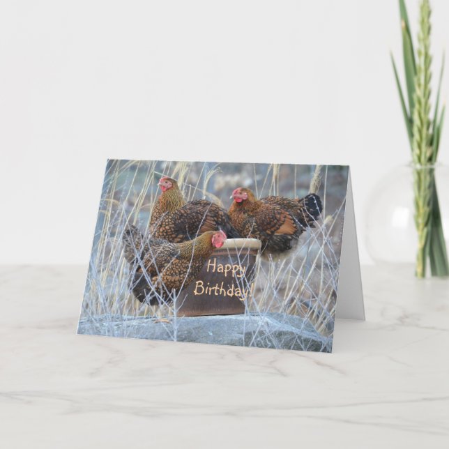 Alberne Hühner Geburtskarte Karte (Vorderseite)