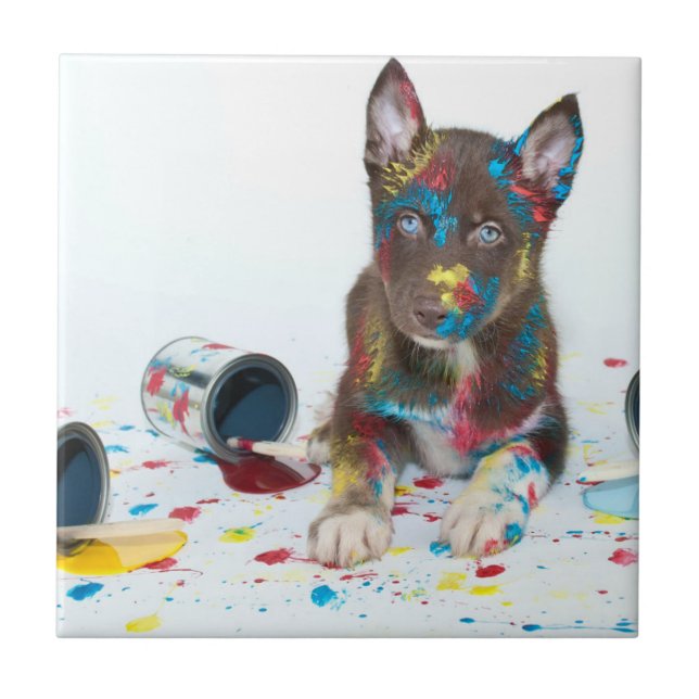 Alberne Husky-Welpe got in Paint-Ester Fliese (Vorderseite)