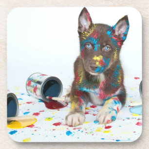 Alberne Husky-Welpe got in Paint-Ester Getränkeuntersetzer