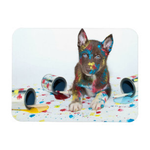 Alberne Husky-Welpe got in Paint-Ester Magnet