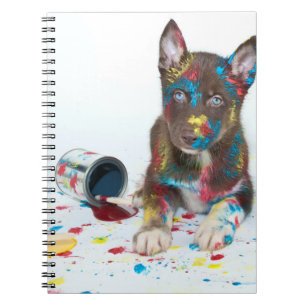 Alberne Husky-Welpe got in Paint-Ester Notizblock