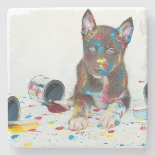 Alberne Husky-Welpe got in Paint-Ester Steinuntersetzer