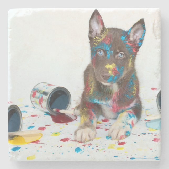 Alberne Husky-Welpe got in Paint-Ester Steinuntersetzer (Vorderseite)