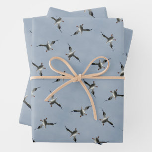 Alberne Landung Pelican Pic Wrapping Paper Sheets Geschenkpapier Set